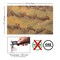 WaterColor Acrylic 2.6mm (1/8th Inch), 12x19 inch | CO2 Laser & CO2 Glowforge Ready, Special Pattern Cast Acrylics, Craft Closet Brand